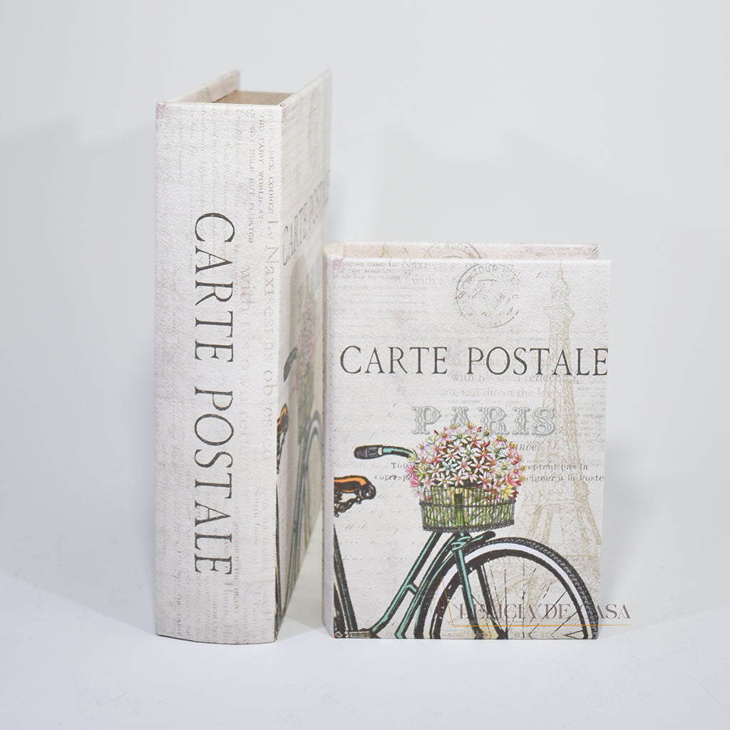 Caixa livros decorativa Paris