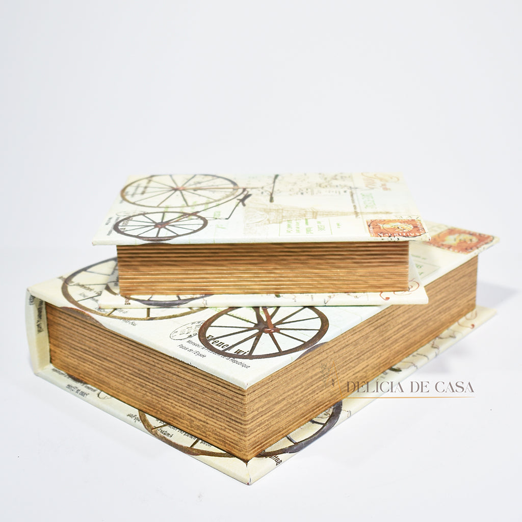 Caixa livros decorativa Paris